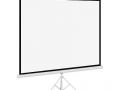 Schermo-Proiettore-100INCH